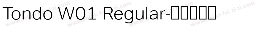 Tondo W01 Regular字体转换